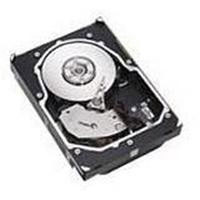 Ibm 146.8 GB Hot-Swap HDD (73P8022) Ibm 146.8 GB Hot-Swap HDD (73P8022)